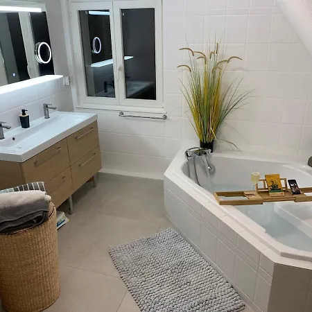 Fresh 150m2 Villa, Near Basel Airport Et Golf Willa