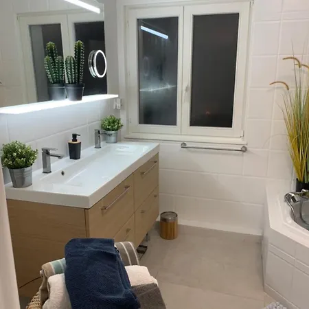 Willa Fresh 150m2 Villa, Near Basel Airport Et Golf
